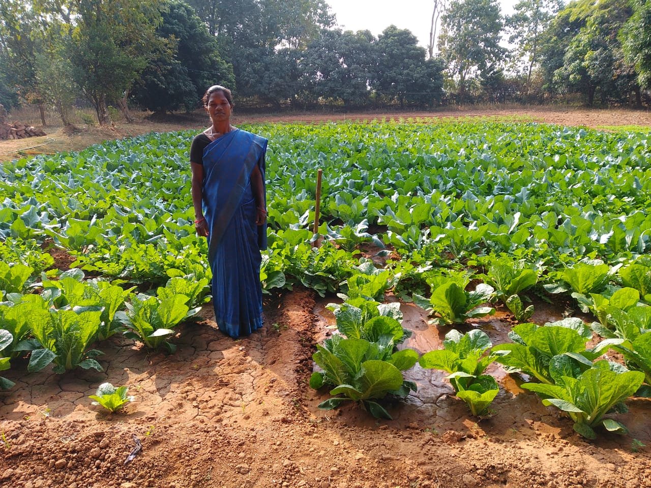 Self-Help Groups